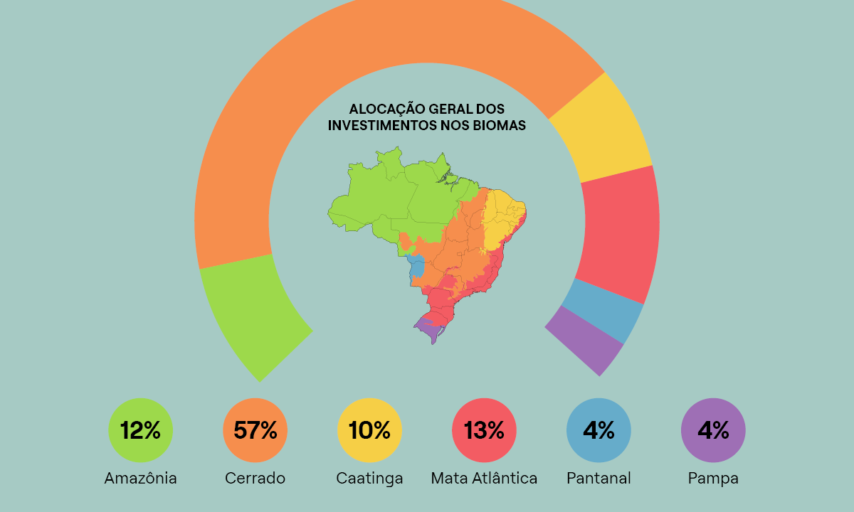 Governo prevê R$ 42,5 bilhões ao Fundo Clima em 2026