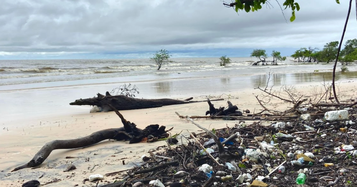 Foto: Instituto Talanoa/Divulgação
