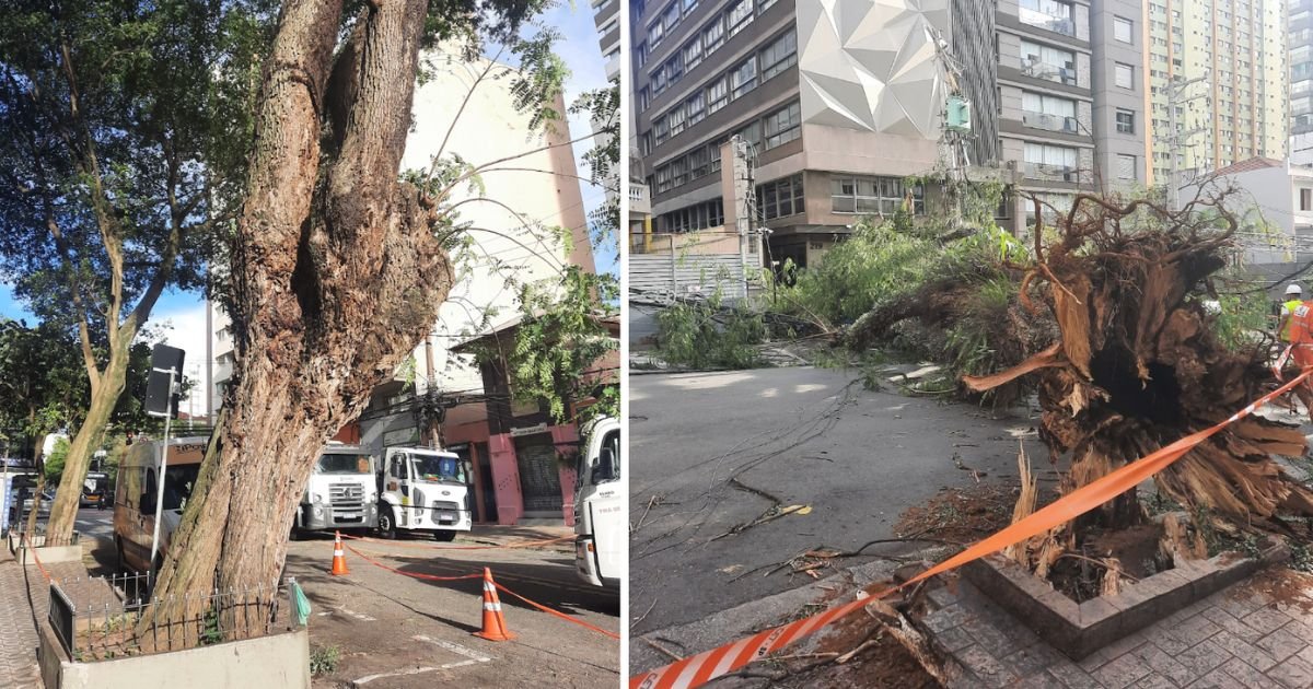 E o vento levou: a cada ano, sistema energético de São Paulo se mostra mais vulnerável a ventanias