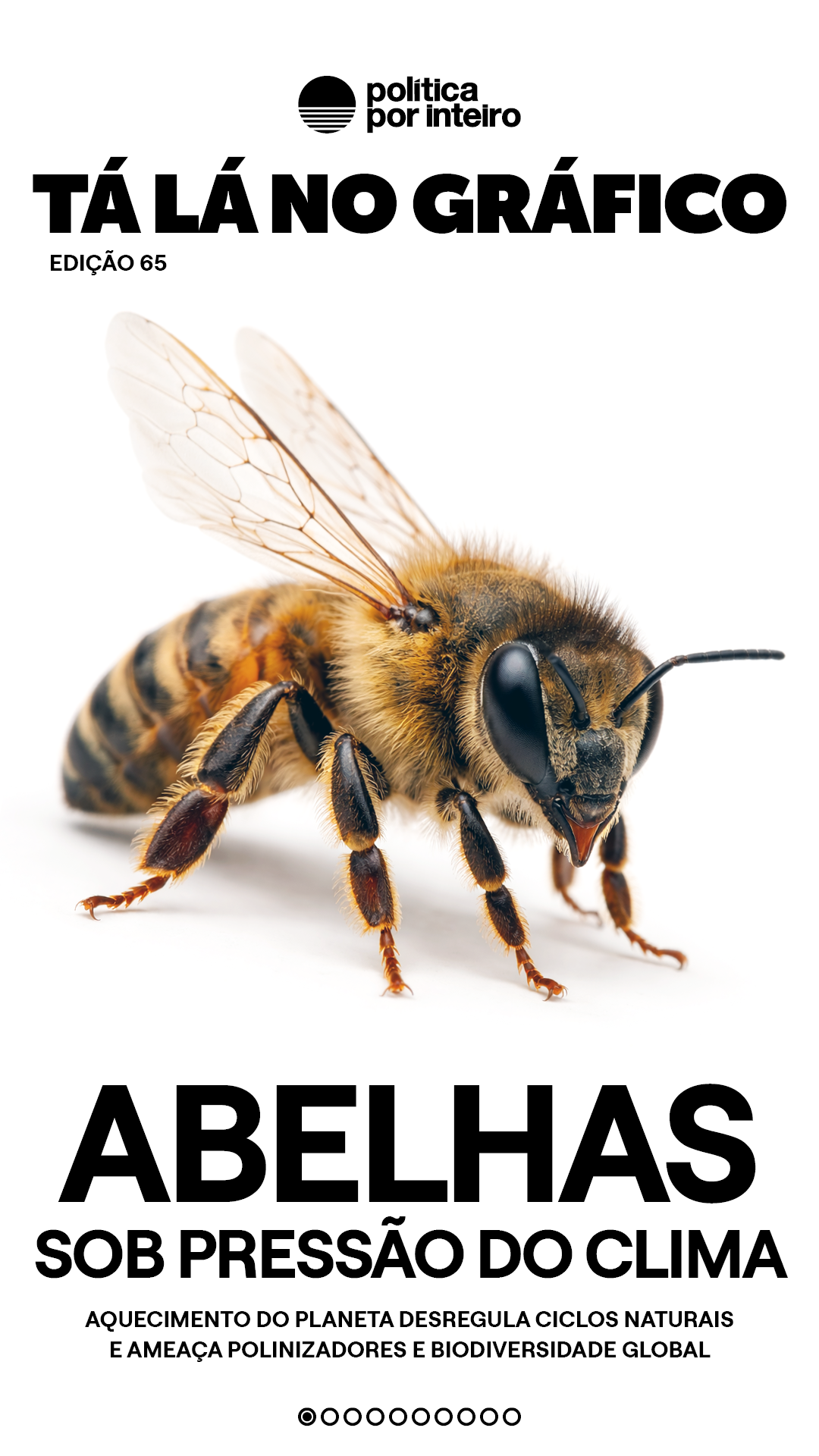 00_TalanoGraf - Abelhas