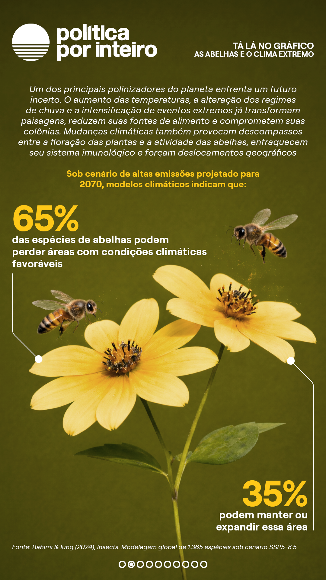 00_TalanoGraf - Abelhas2
