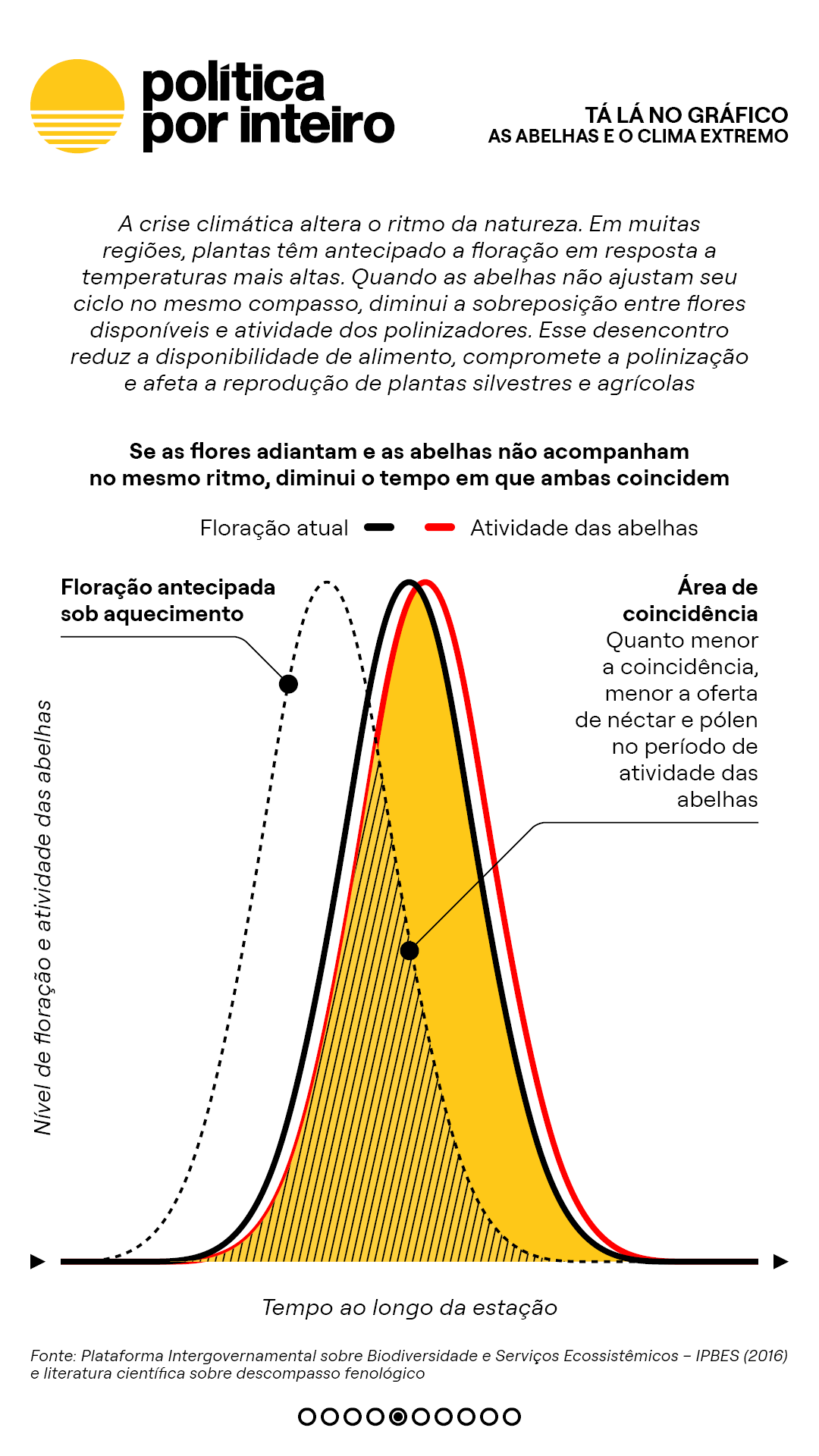 00_TalanoGraf - Abelhas5