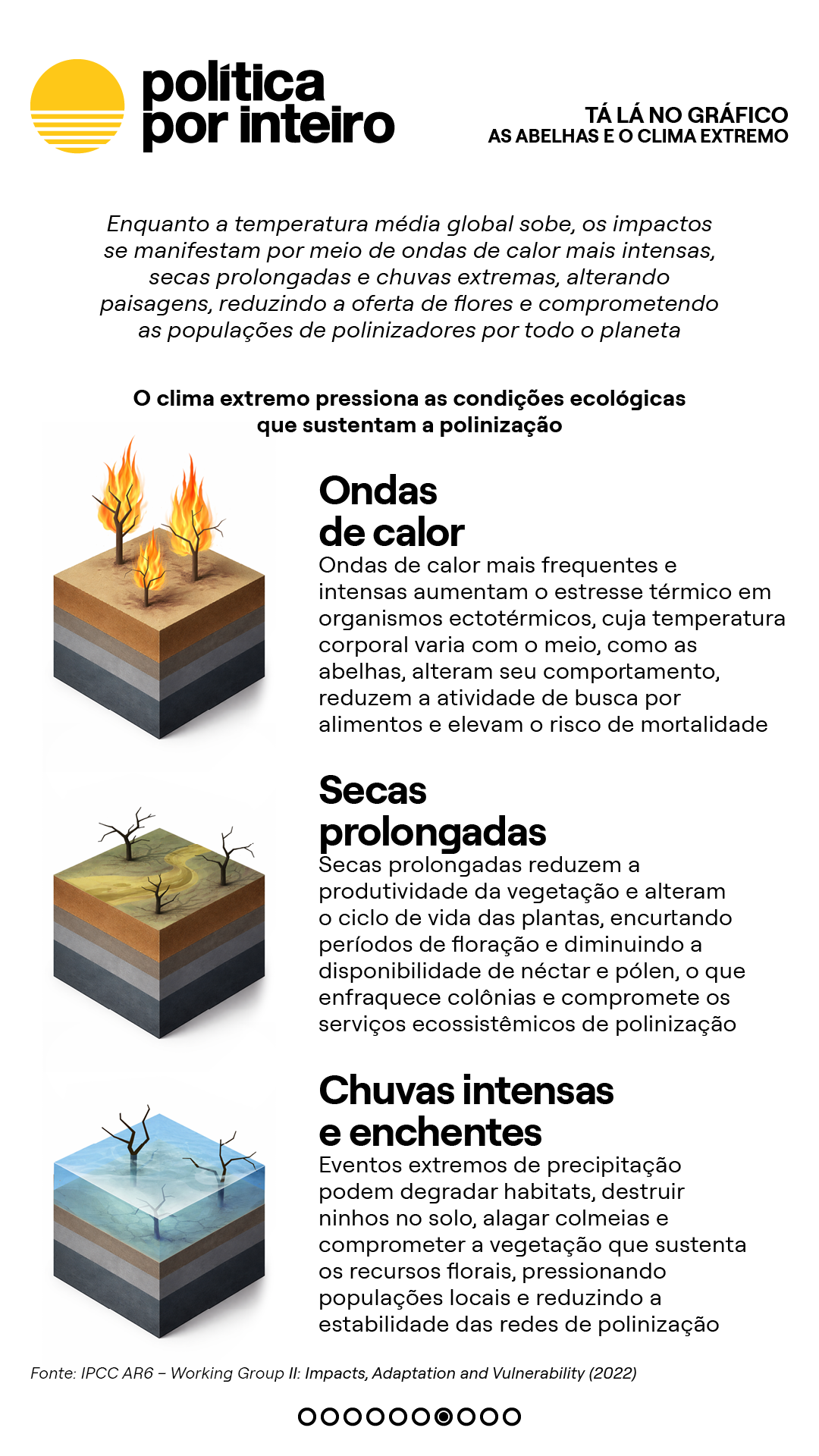 00_TalanoGraf - Abelhas7