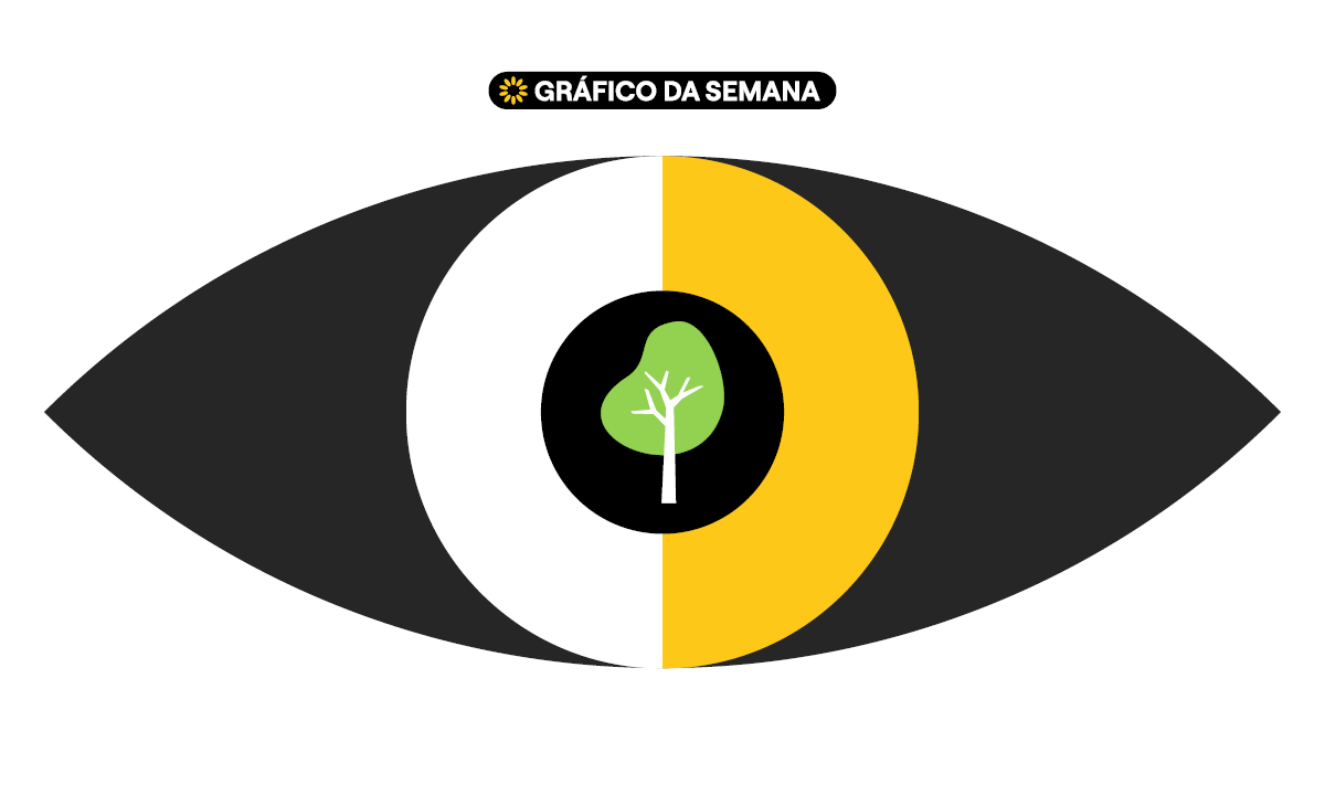 Menor desmatamento no Brasil em uma década