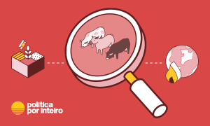 O tripé para perseguir o menor desmatamento da história