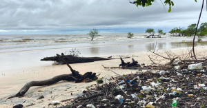 Foto: Instituto Talanoa/Divulgação
