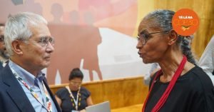 Foto: <a href="https://www.flickr.com/photos/mmeioambiente/54919228022/in/album-72177720330295123" target="_blank">Rogério Cassimiro/MMA</a>.