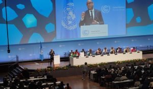 Conferência sobre Mudança Climática em Bonn 2024. Foto: © UNFCCC