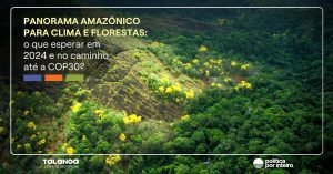 Panorama Amazônico para clima e florestas: de 2024 até a COP30