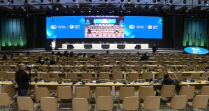 Resultado final da COP 29: incrementalismo versus urgência